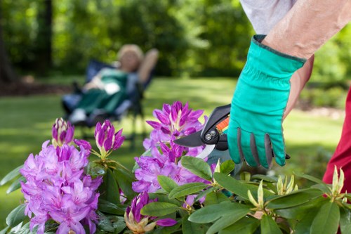Close-up of a mower on a neatly trimmed Southgate lawn