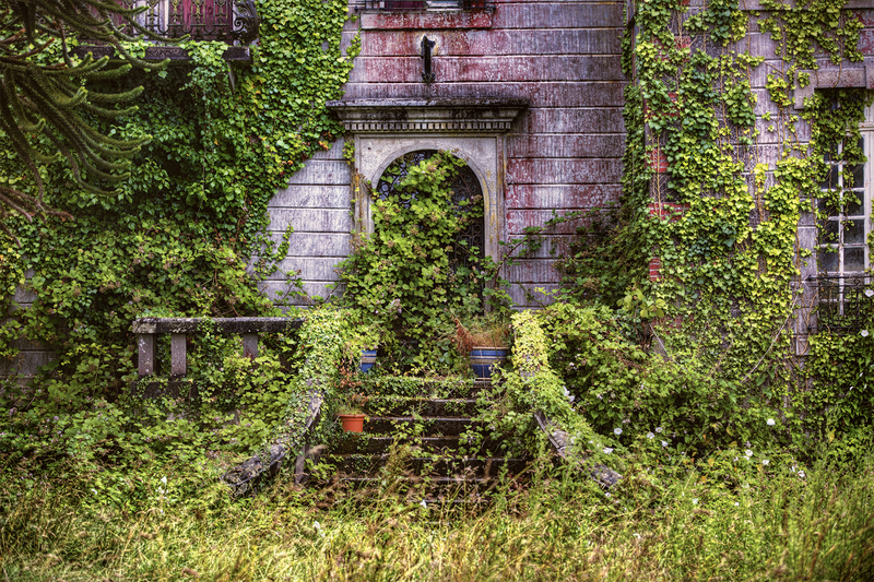 Garden yard